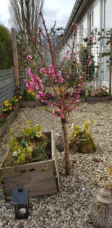 Engholmbb Bed & Breakfast Odense Luaran gambar